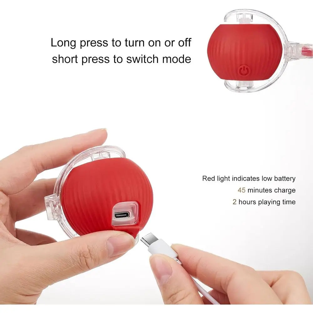 Interactive Pet Ball Toy for Dogs and Cats Rechargeable Rolling