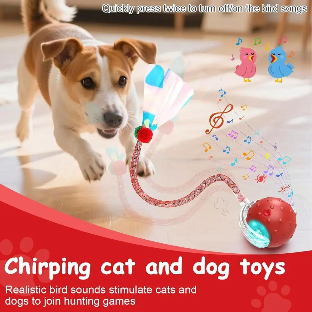 Interactive Cat Toy Ball With Two RaTails 360 Degree Auto Motion Bird Sounds
