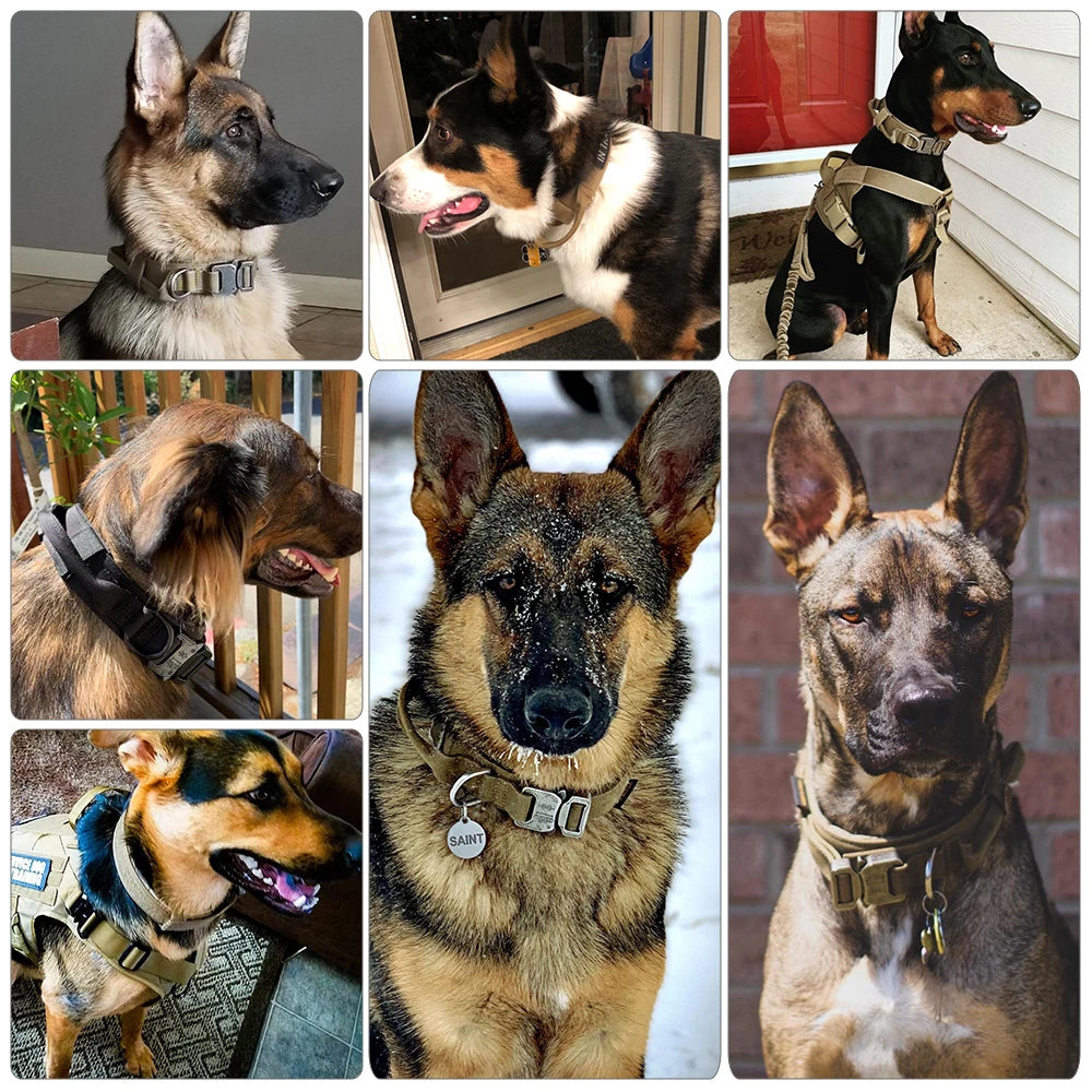 PETRAVEL Dog Training Collar Tactical Leash Set With Control Handle
