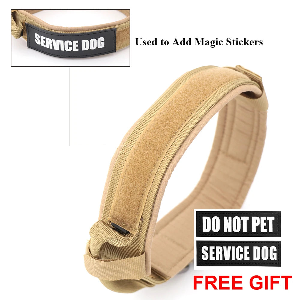 PETRAVEL Dog Training Collar Tactical Leash Set With Control Handle