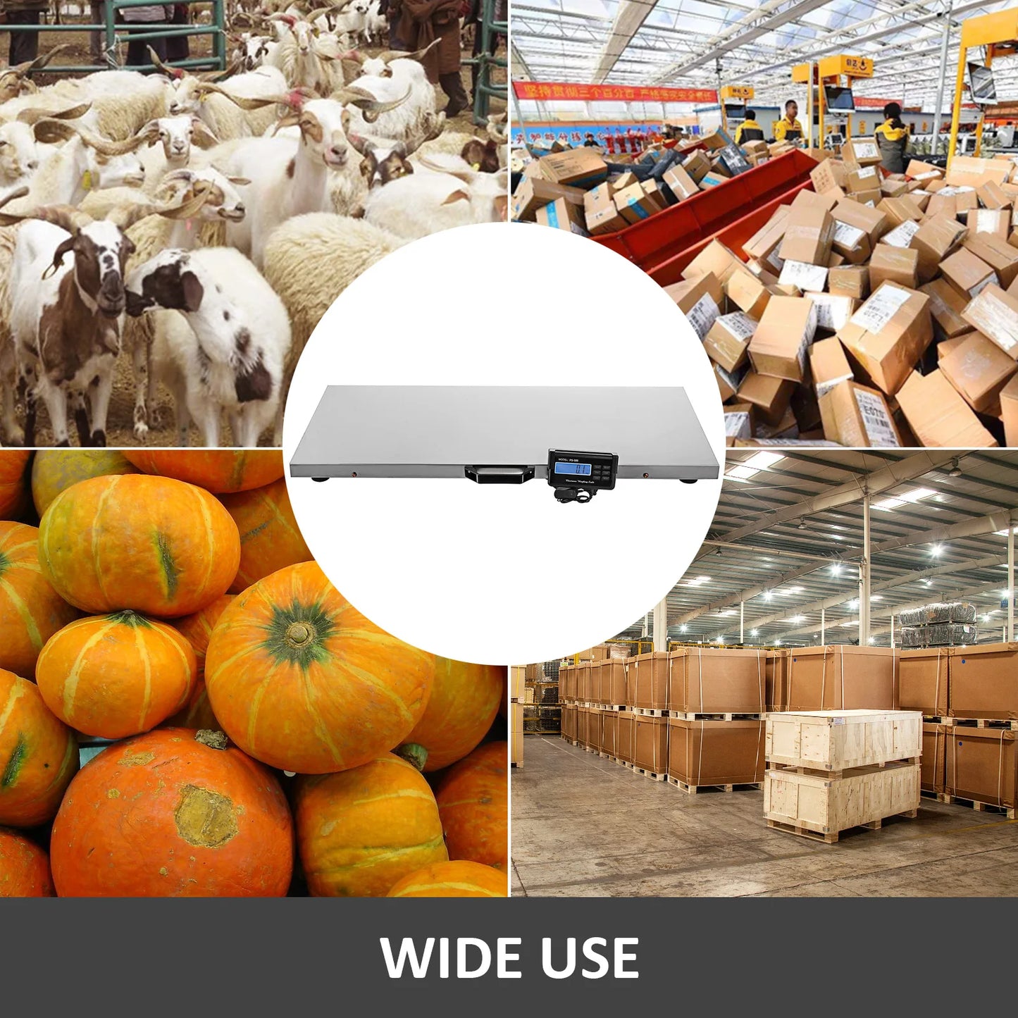 Stainless Steel Digital Electronic Livestock And Pet Scale