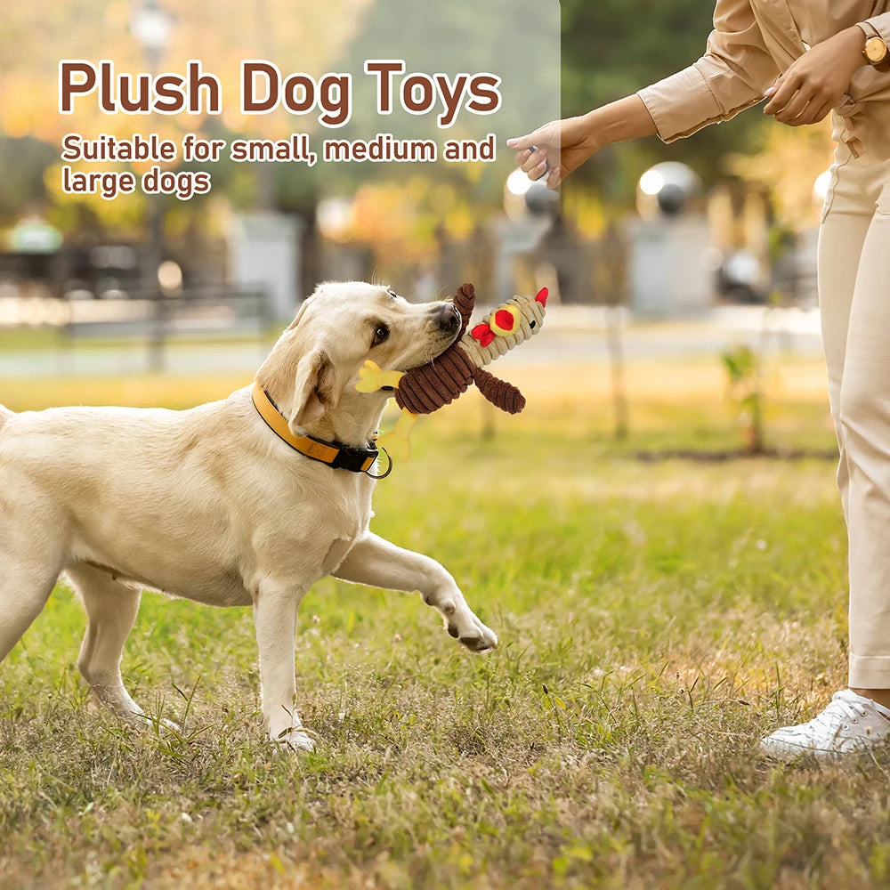 Premium Plush Squeaky Dog Toys Assortment Pack For Pets