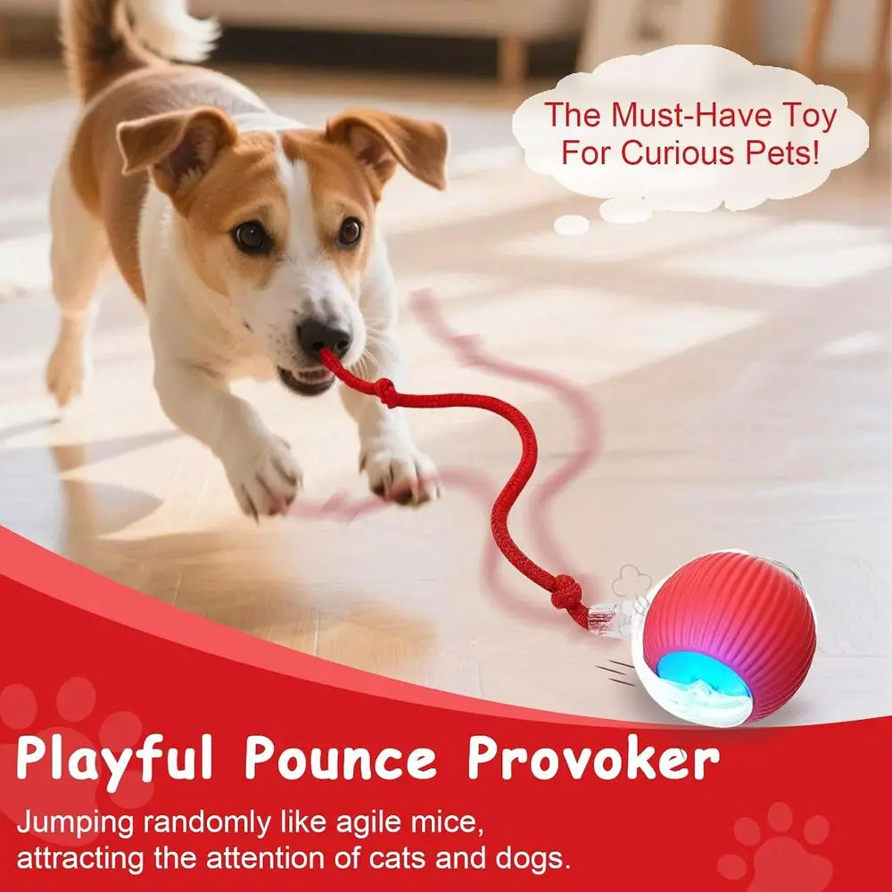 Interactive Cat Toys Smart Ball for Cats and Dogs 360 Degree Rolling Chase