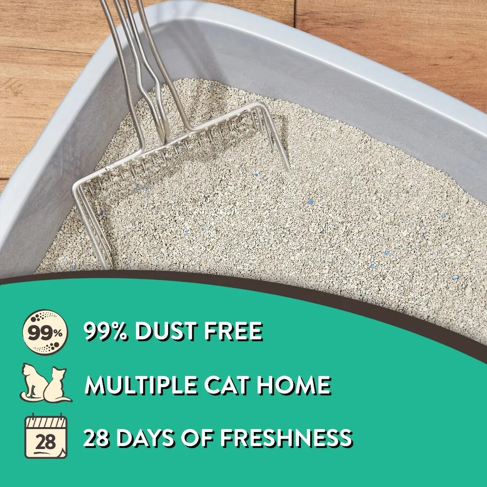 Special Kitty Clumping Clay Cat Litter Fresh Odor Control