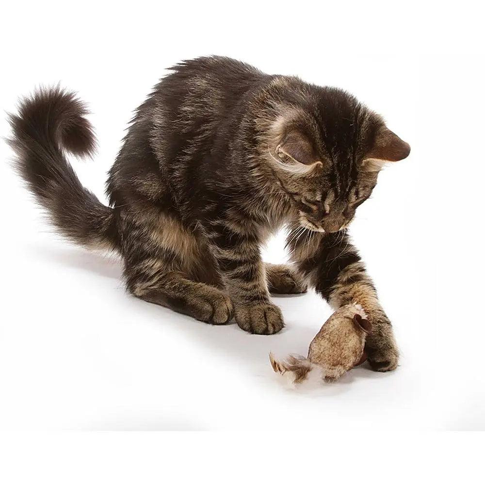 Play-N-Squeak Twice The Mice Cat Toy 2pc Interactive Toy