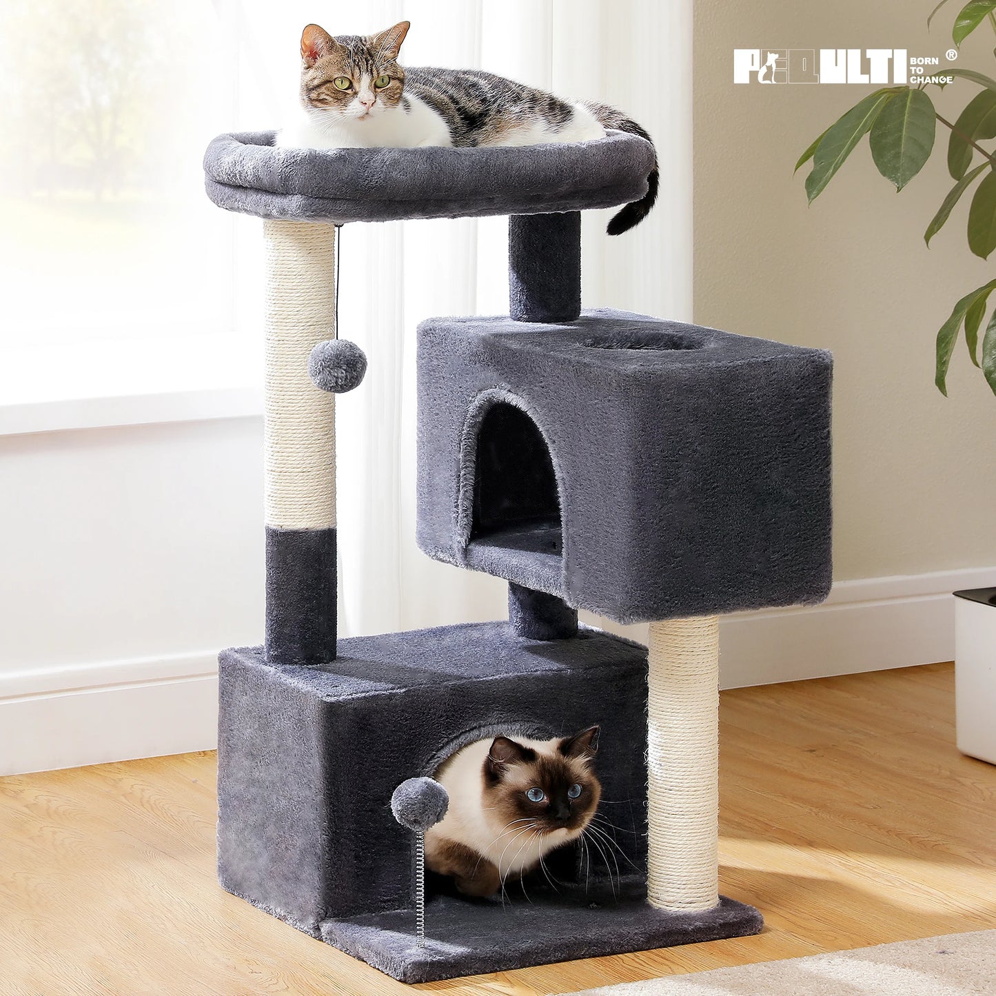 PAWZ Road Cat Tree With Condos And Sisal Scratching Pad
