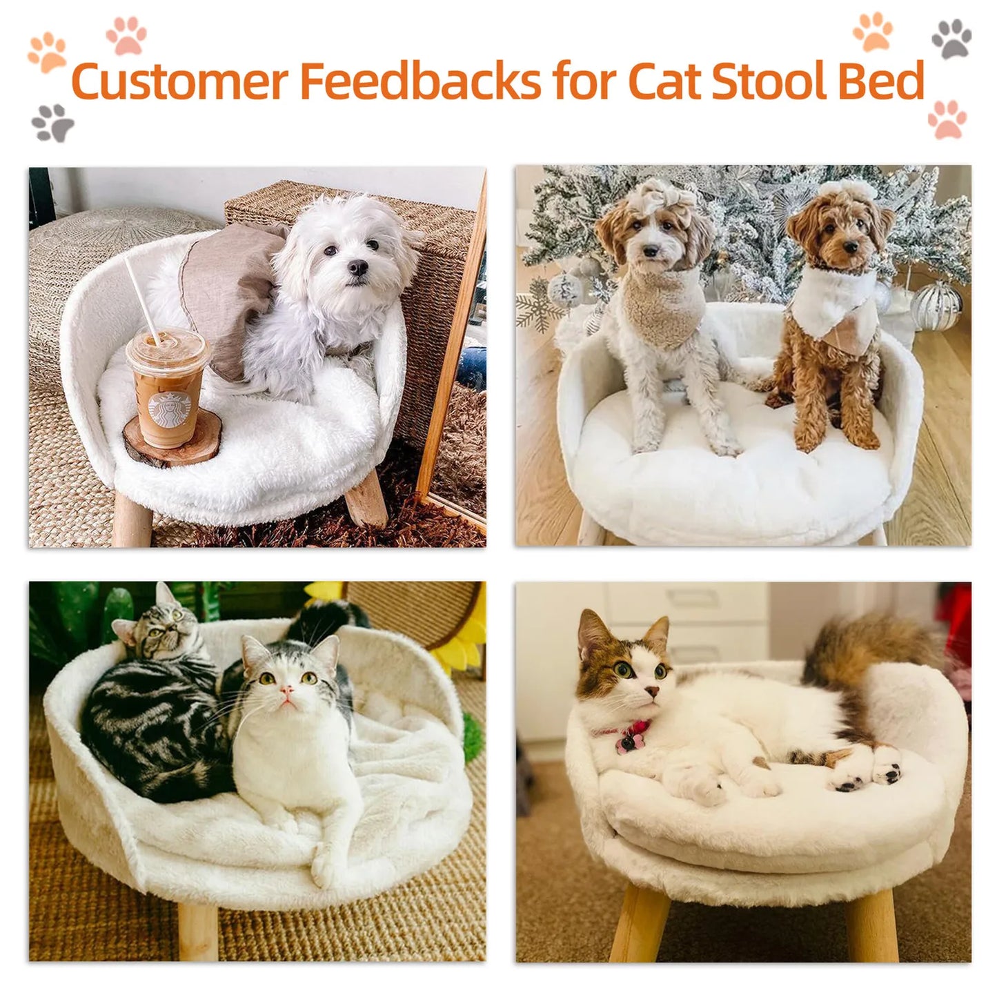 BINGOPAW Pet Sofa Bed Raised Cat Chair With Removable Cushion