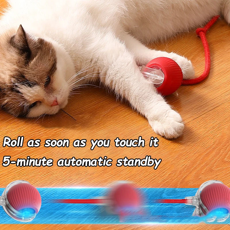 Cat Interactive Ball Toy Automatic Rolling Faux Tail Rechargeable Smart Pet Toy