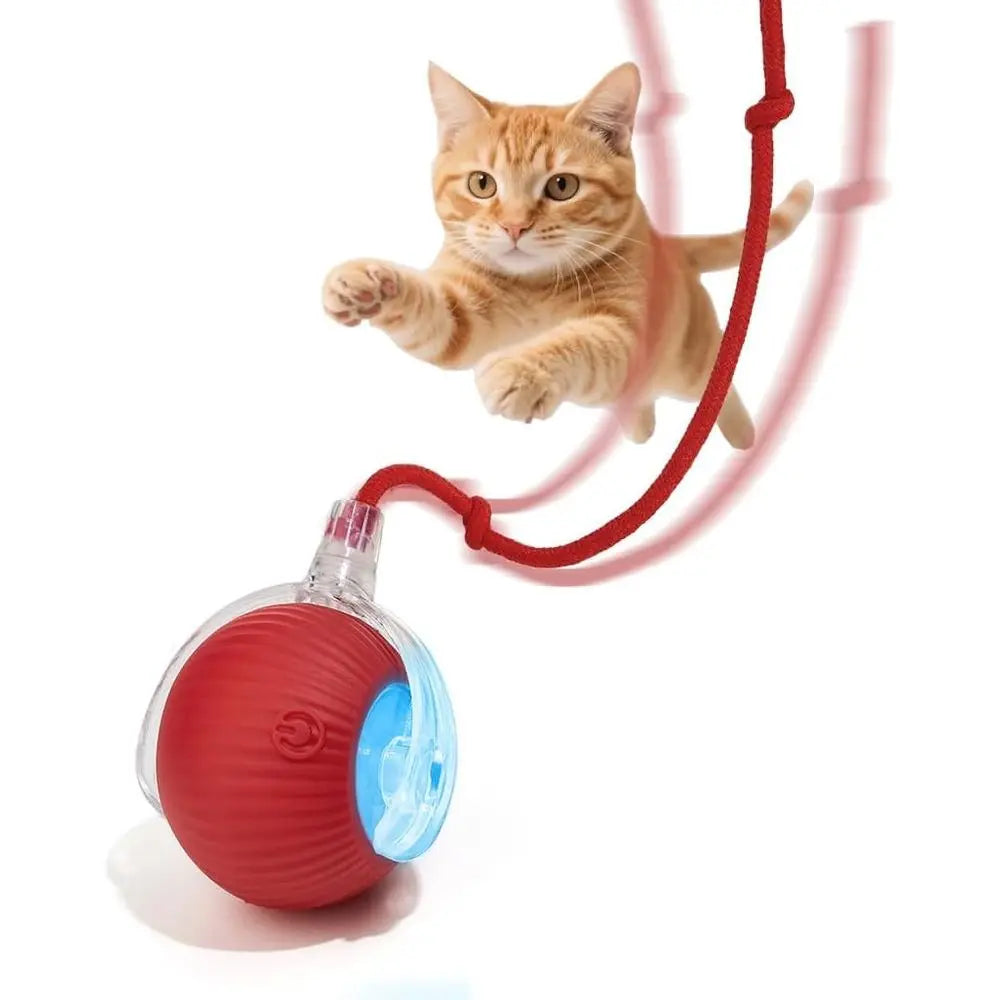 Interactive Pet Ball Toy for Dogs and Cats Rechargeable Rolling