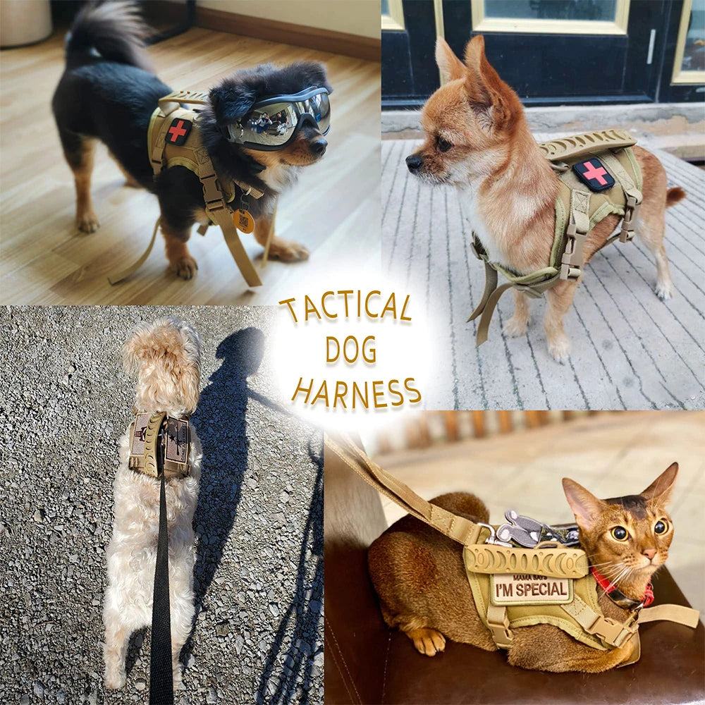 PETRAVEL Tactical Puppy Harness Leash Set For Small Dogs
