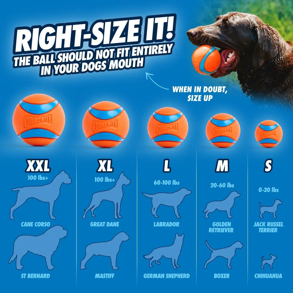 Chuckit Ultra Tug Dog Ball with Strap for Large Dogs