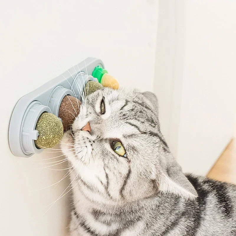 Rotating Catnip Silver Vine Toy for Dental Health Wall Mounted
