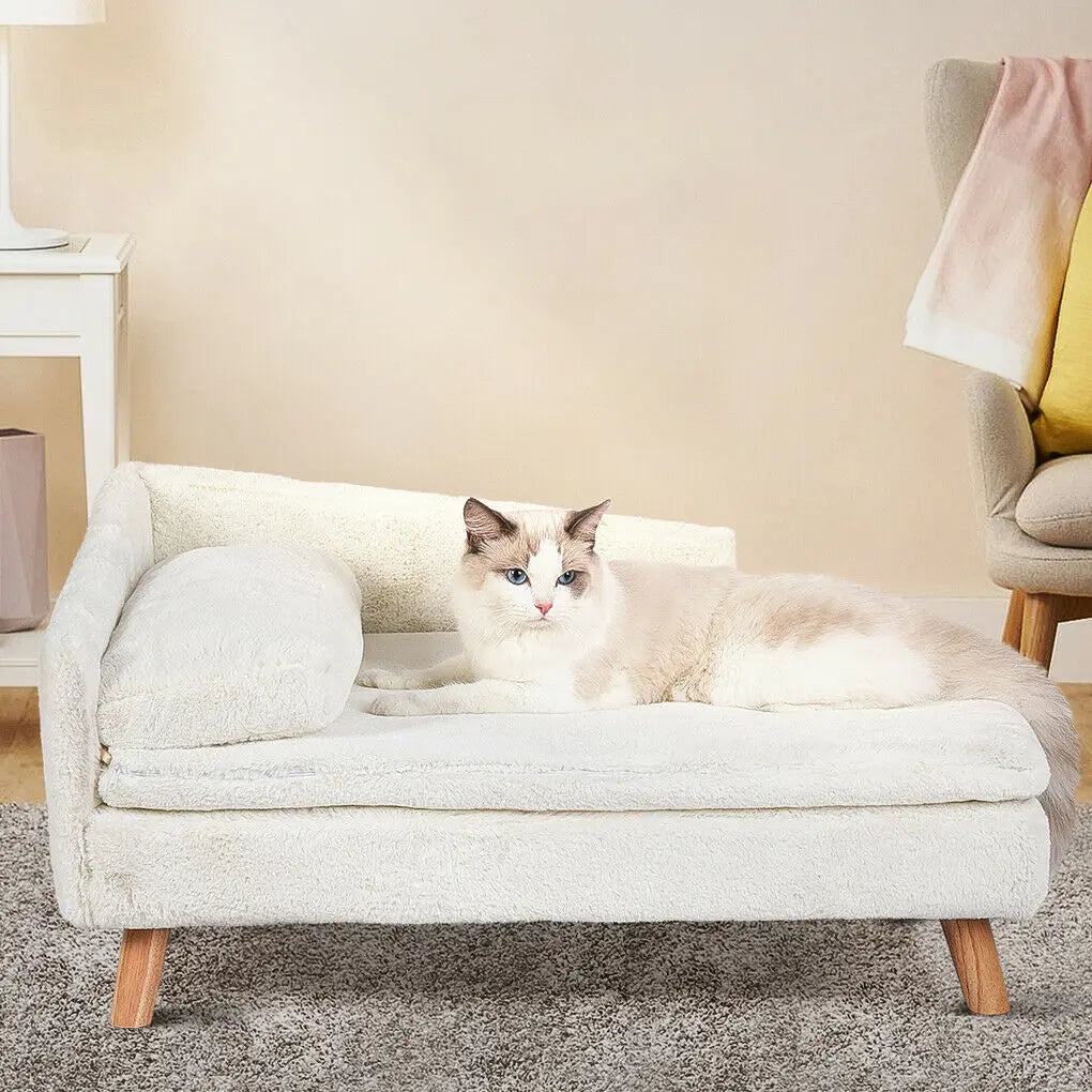 Elevated Wood Pet Bed for Dogs and Cats with Cushion