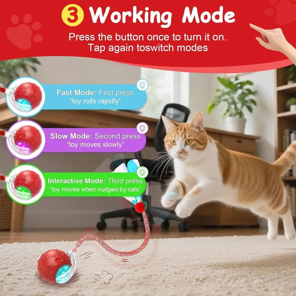 Interactive Cat Toy Ball With Two RaTails 360 Degree Auto Motion Bird Sounds