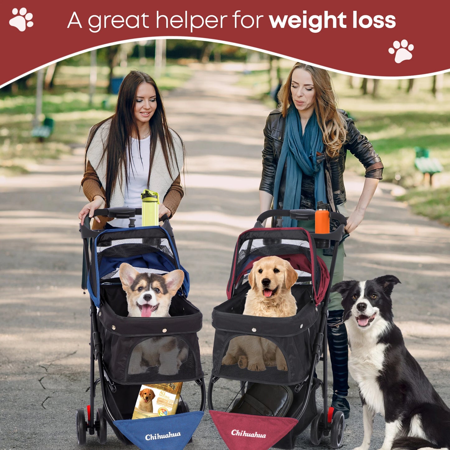 CHIHUAHUA Pet Stroller Foldable Three Wheel Travel Carrier