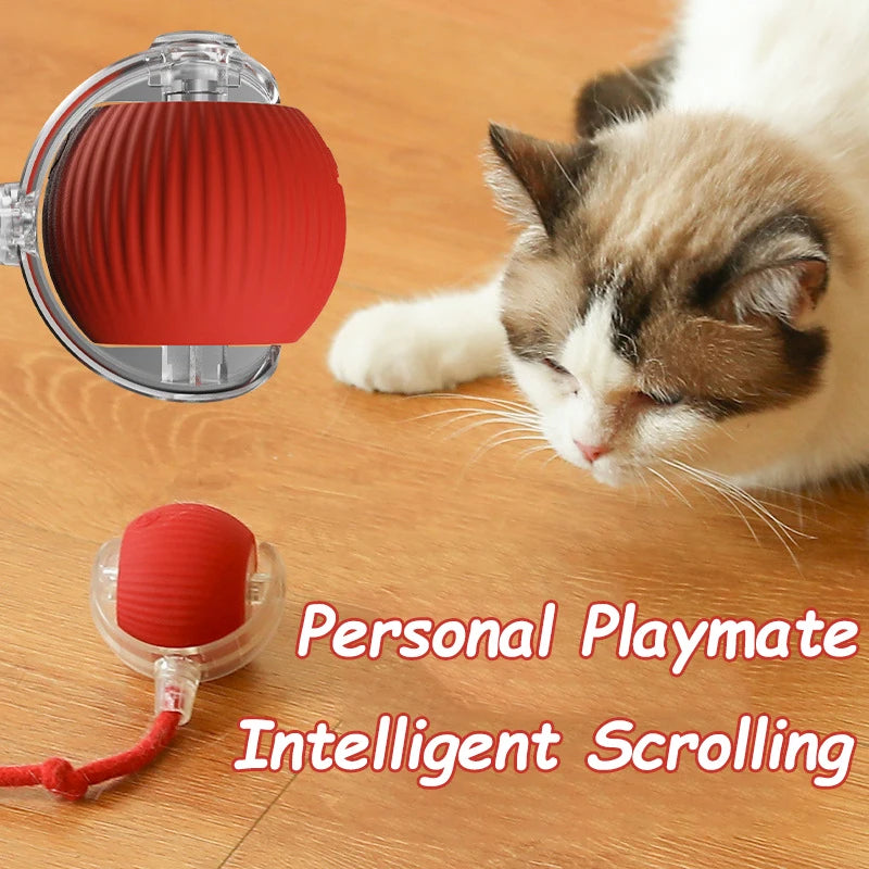 Cat Interactive Ball Toy Automatic Rolling Faux Tail Rechargeable Smart Pet Toy