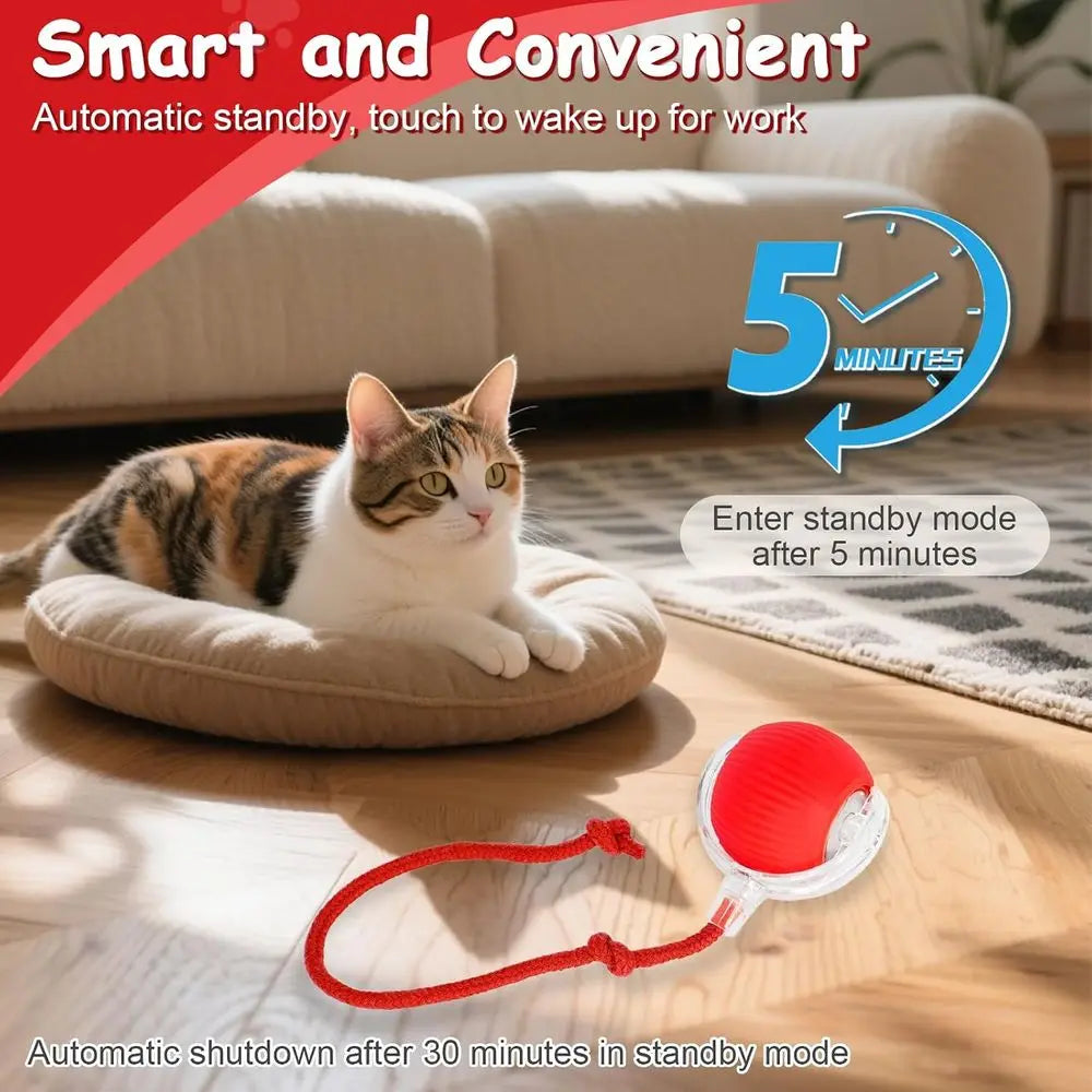 Interactive Cat Toys Smart Ball for Cats and Dogs 360 Degree Rolling Chase