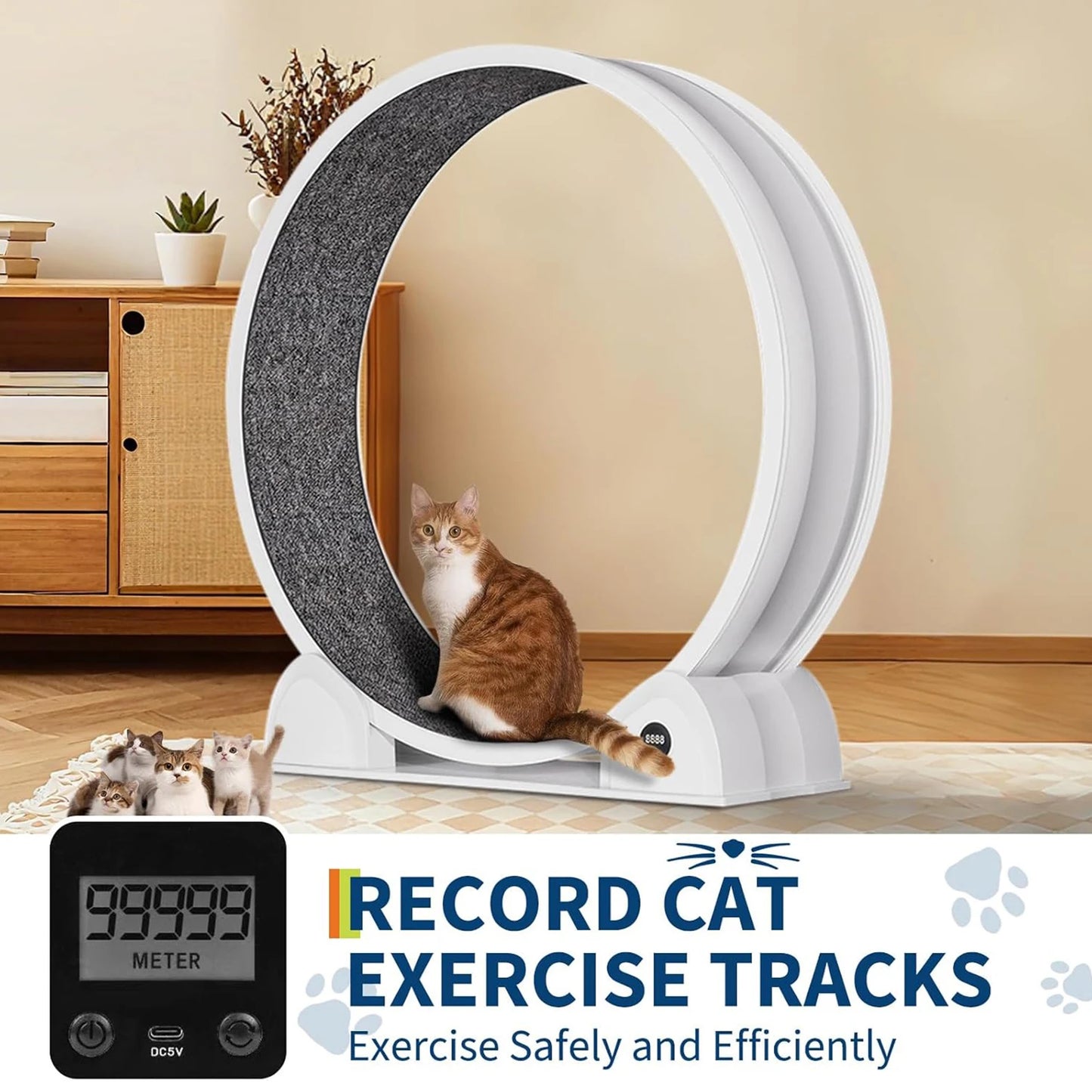 HiMISSCN Cat Exercise Wheel Indoor Treadmill For Cats