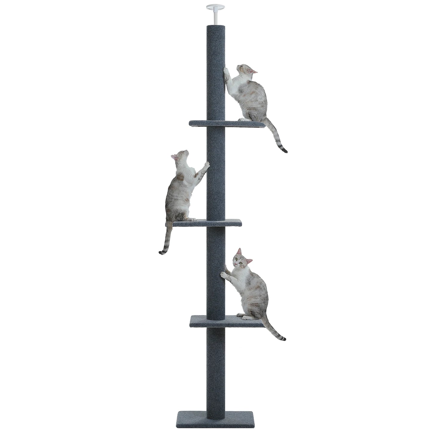 PEQULTI CN Adjustable Cat Tree with Scratching Posts