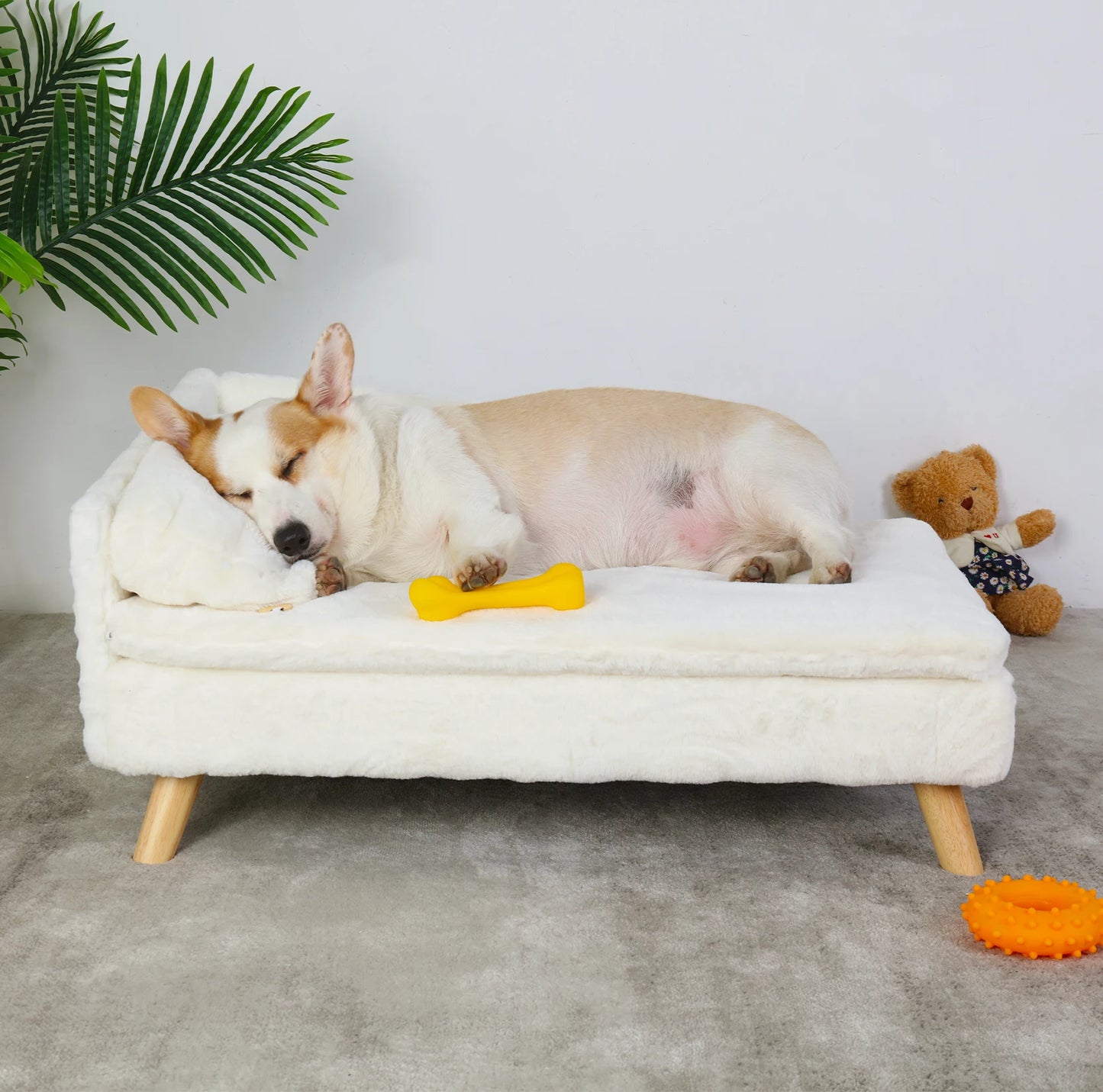 Elevated Wood Pet Bed for Dogs and Cats with Cushion
