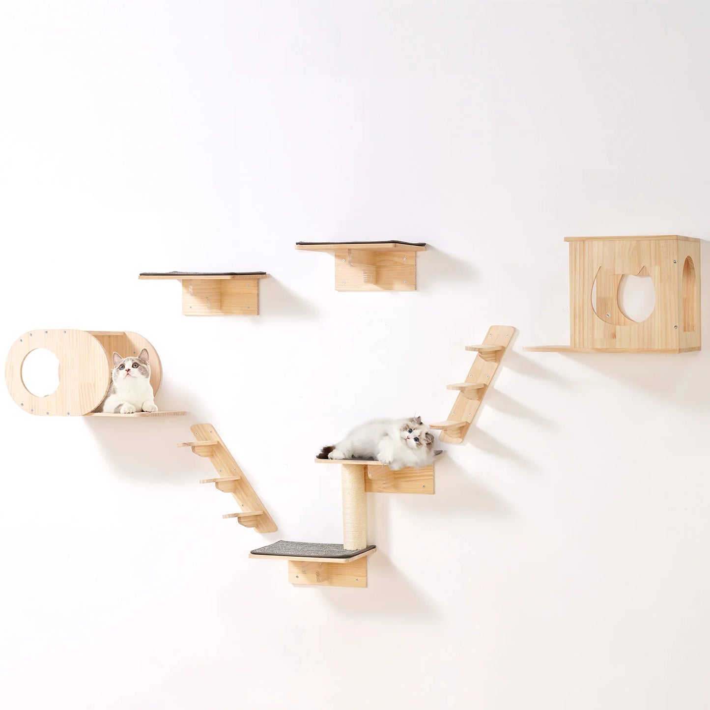 SucceBuy Wall Mounted Cat Shelves And Cat Tree With Hammocks