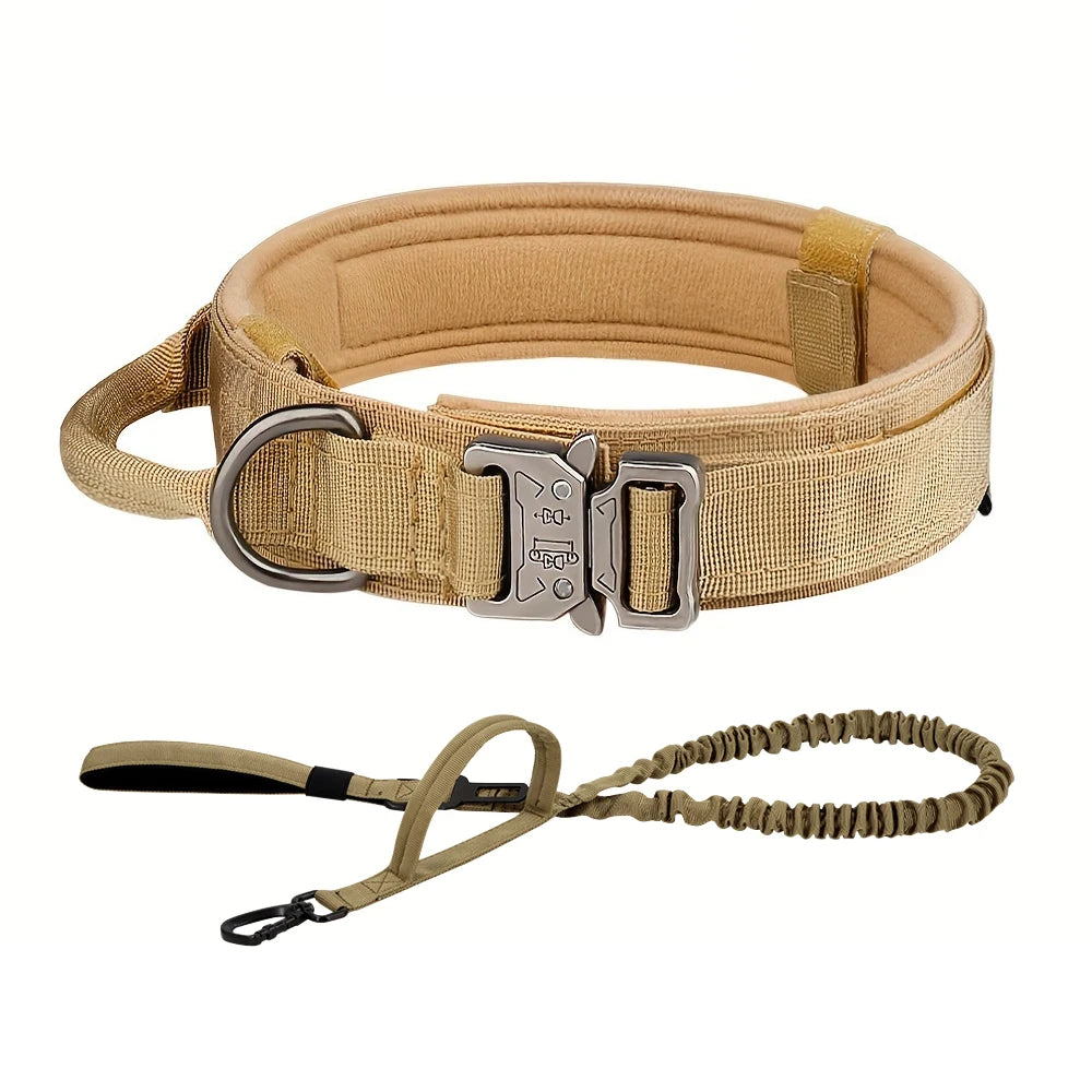 PETRAVEL Dog Training Collar Tactical Leash Set With Control Handle