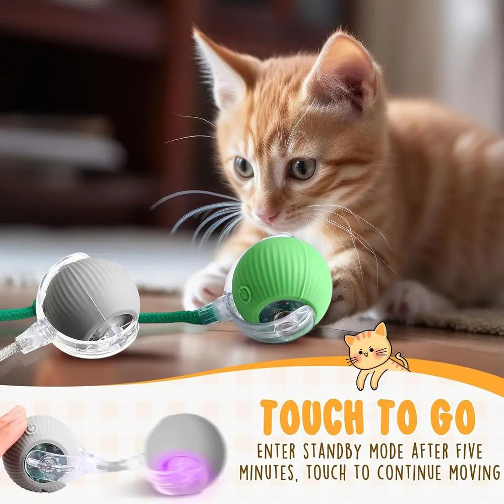 Six Pack Interactive Cat Ball Toy 360 Degree Rolling Ball