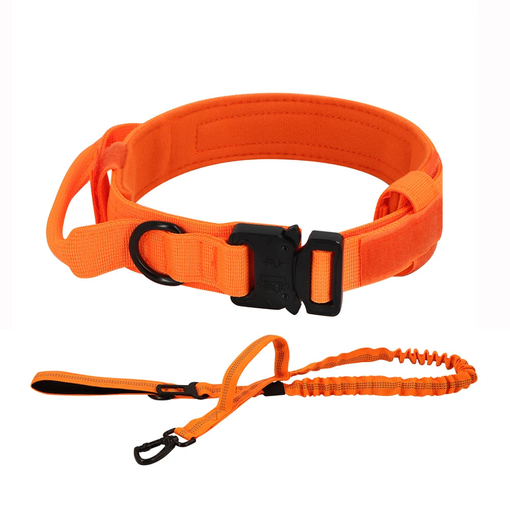 PETRAVEL Dog Training Collar Tactical Leash Set With Control Handle