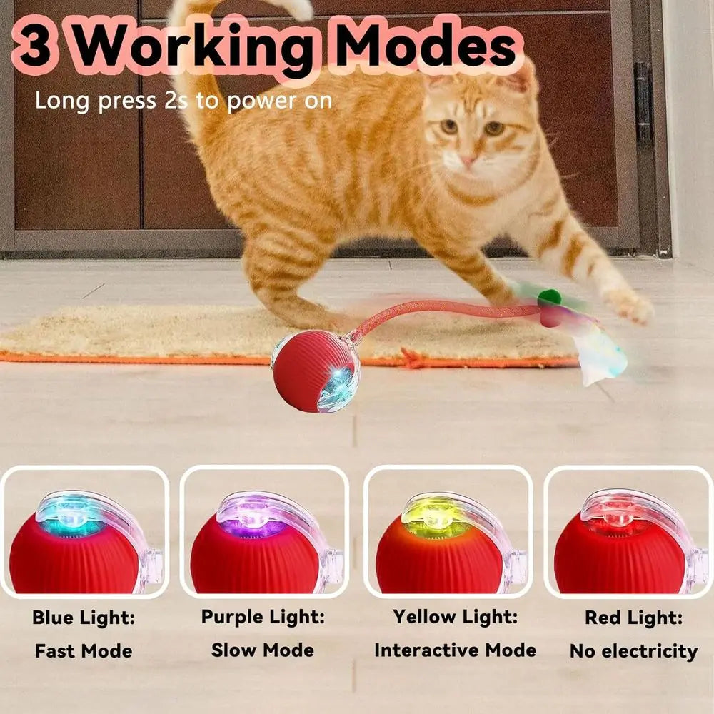 Interactive Cat Toy 2 Pack Elastic Tail Rolling Ball