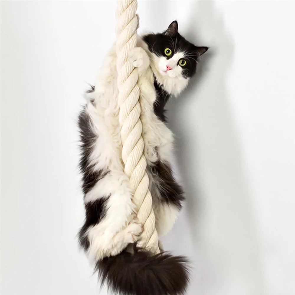 Petravel Cat Climbing Shelf And Rope Tree Wall Scratching Post