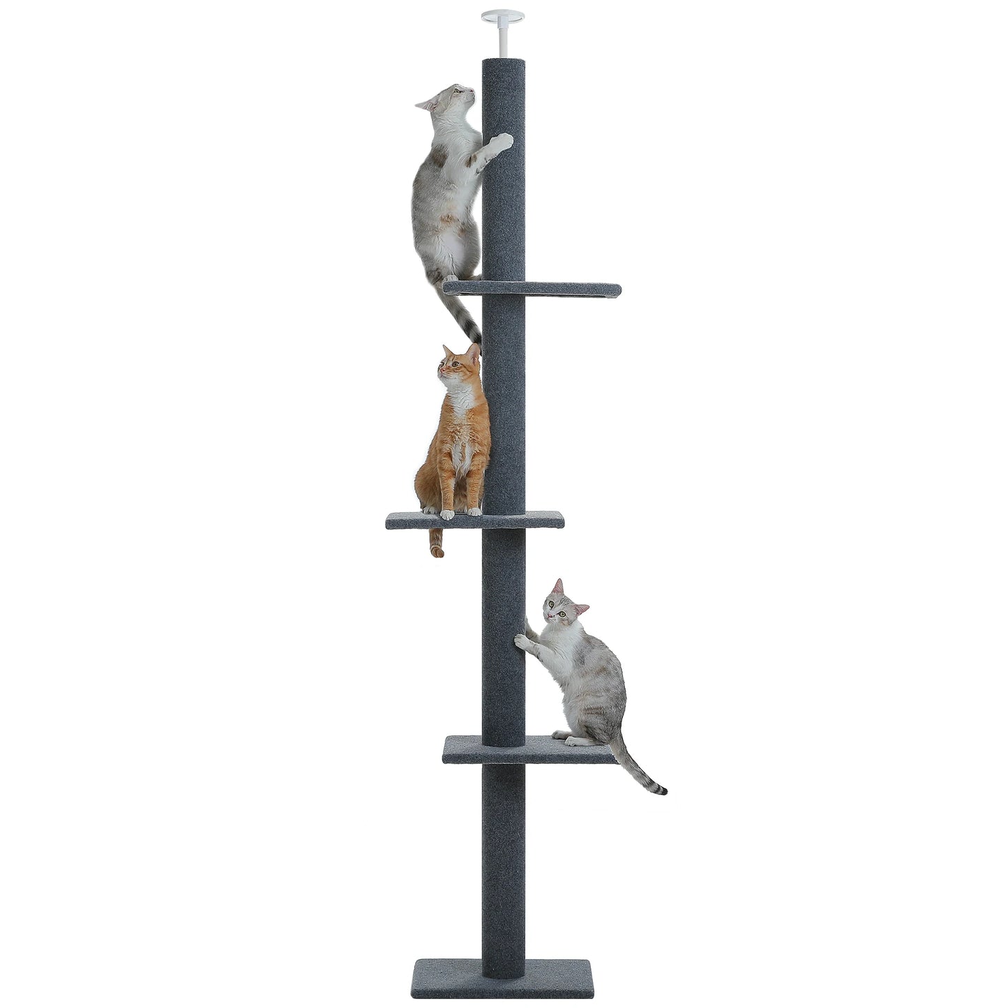 PAWZ Road Floor To Ceiling Cat Tower Adjustable Cat Tree With Scratching Posts