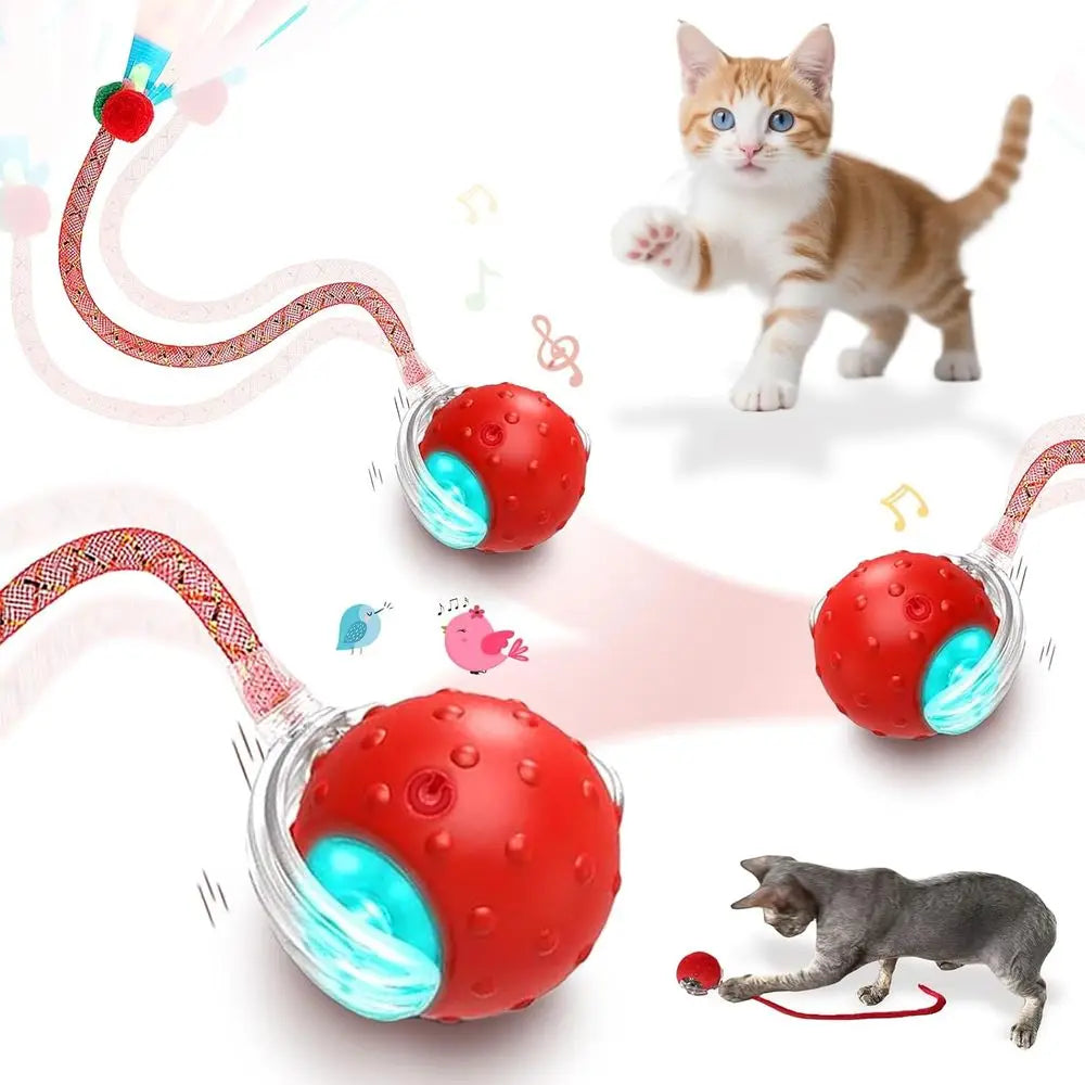 Interactive Cat Toy Ball With Two RaTails 360 Degree Auto Motion Bird Sounds