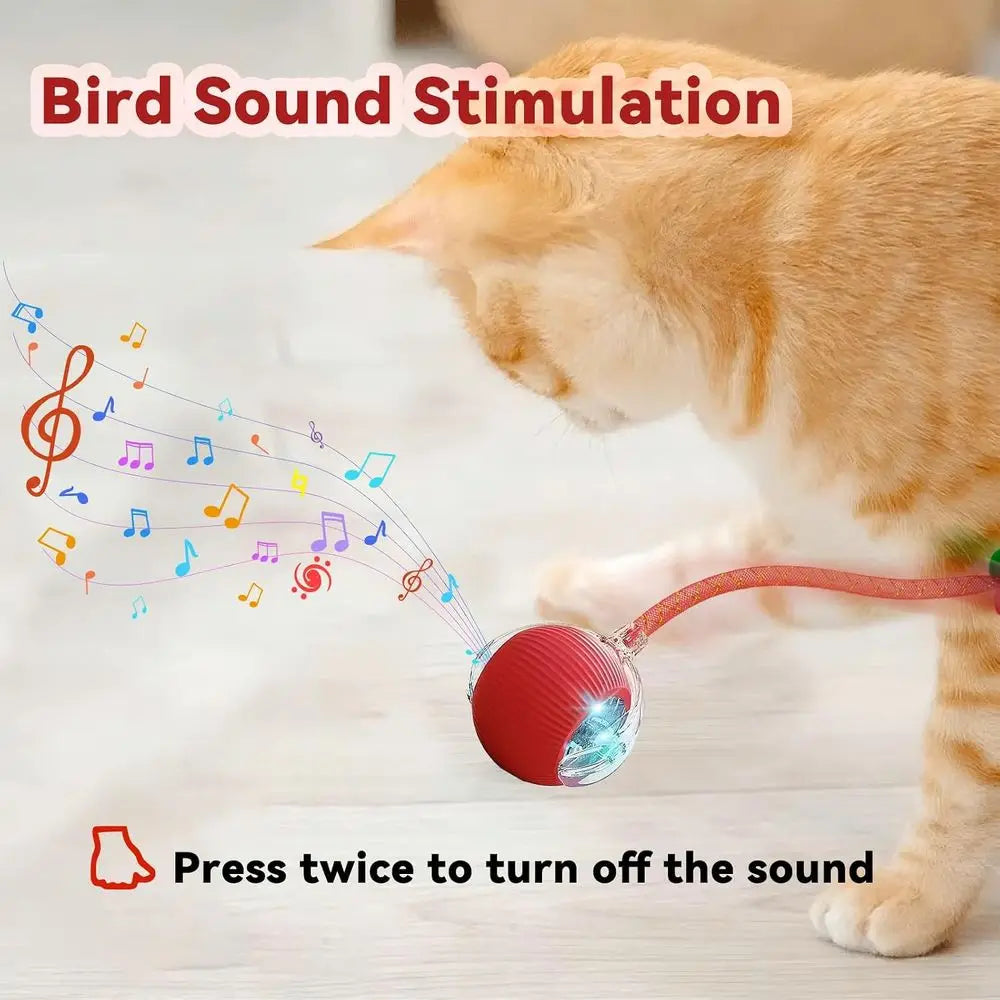 Interactive Cat Toy 2 Pack Elastic Tail Rolling Ball