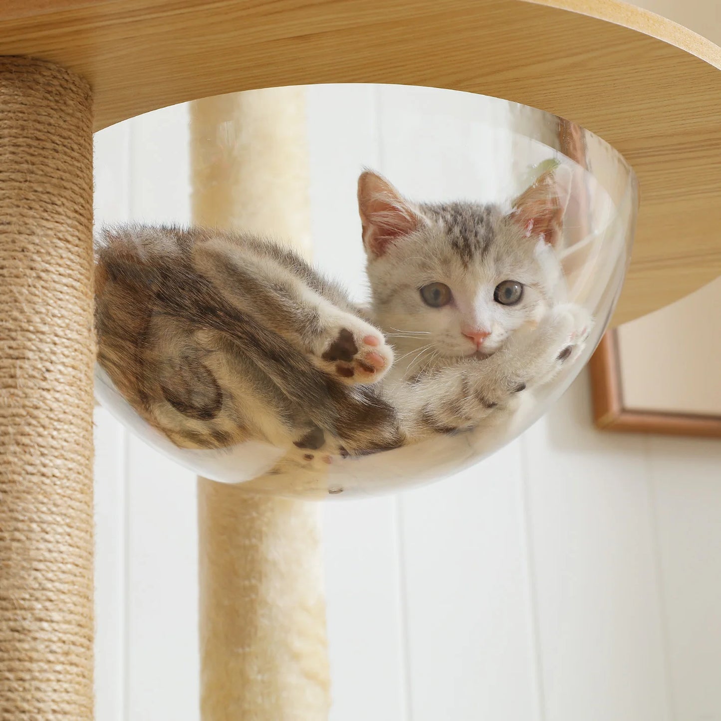 Pawz Multi Level Cat Tree With Scratching Posts And Hammock