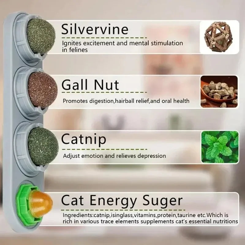 Rotating Catnip Silver Vine Toy for Dental Health Wall Mounted