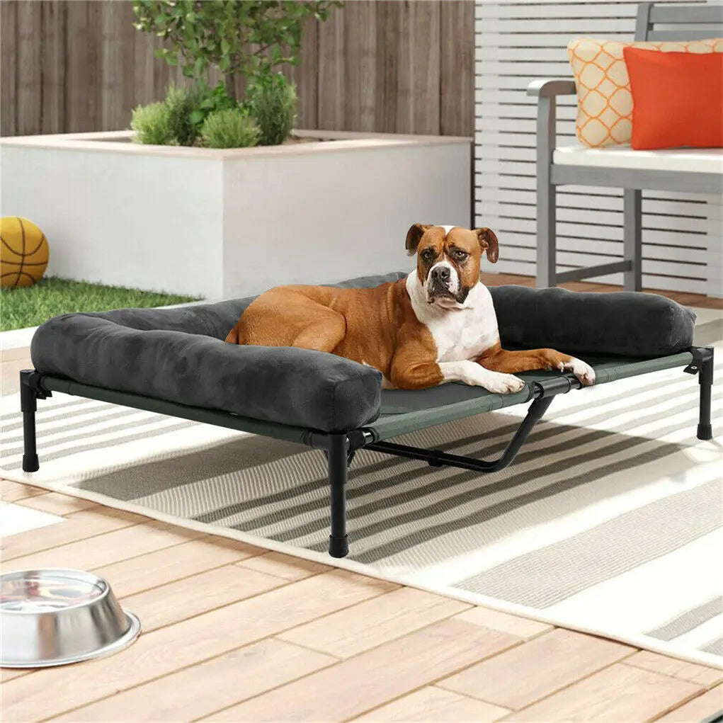 Bingopaw Elevated Cooling Pet Lounger With Detachable Plush Bed
