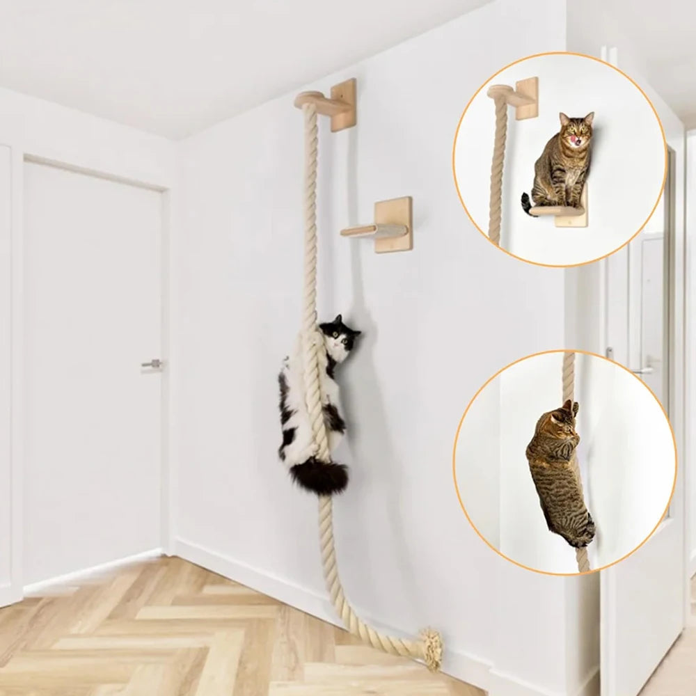 Petravel Cat Climbing Shelf And Rope Tree Wall Scratching Post