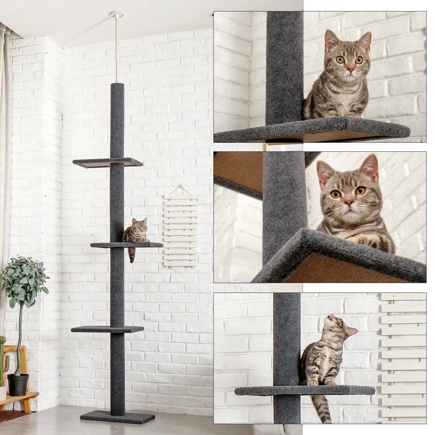 PEQULTI CN Adjustable Cat Tree with Scratching Posts