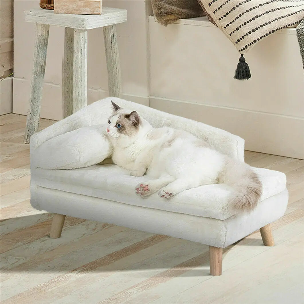 Elevated Wood Pet Bed for Dogs and Cats with Cushion