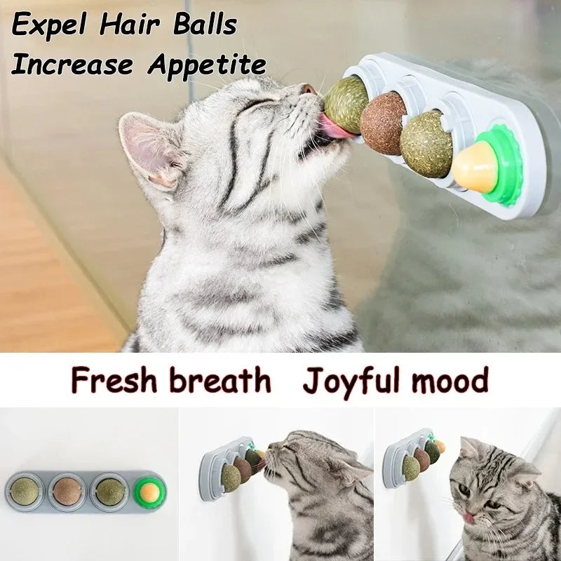 Rotating Catnip Silver Vine Toy for Dental Health Wall Mounted