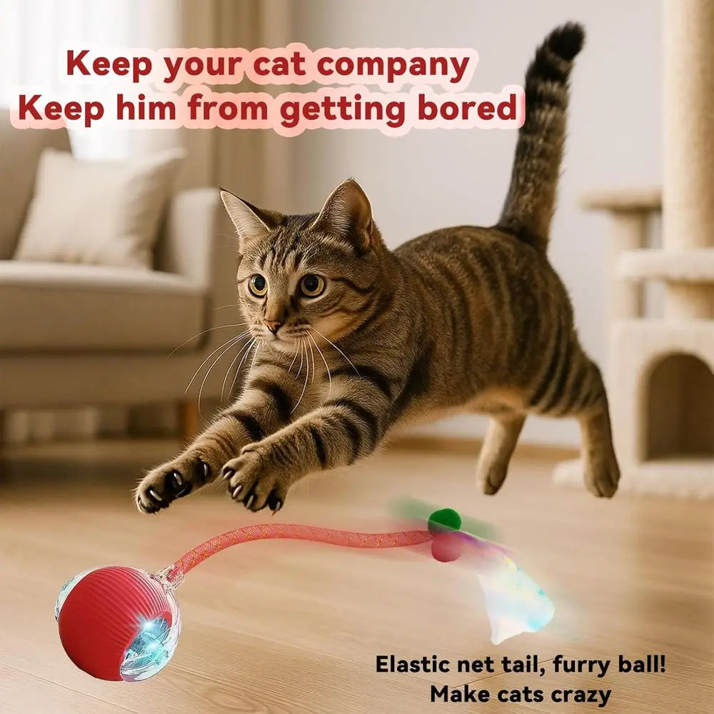 Interactive Cat Toy 2 Pack Elastic Tail Rolling Ball