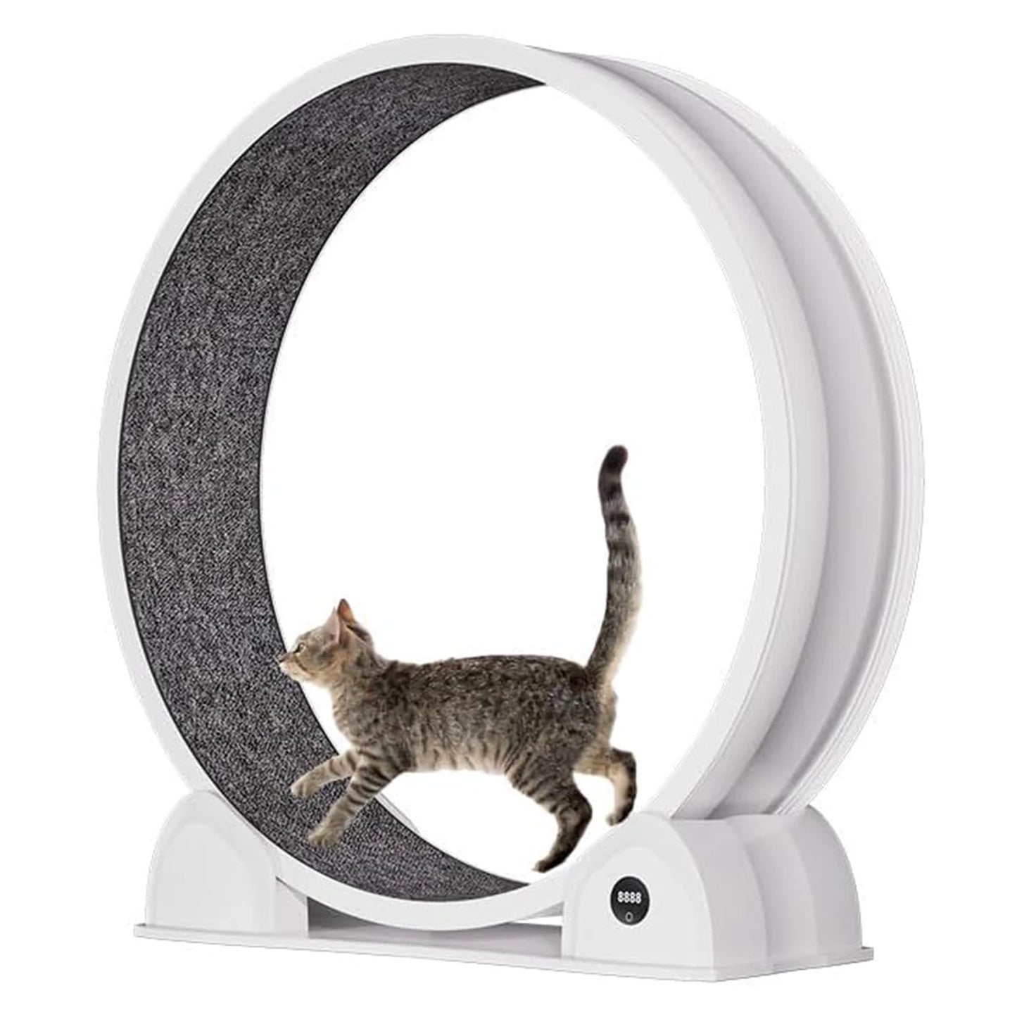 HiMISSCN Cat Exercise Wheel Indoor Treadmill For Cats