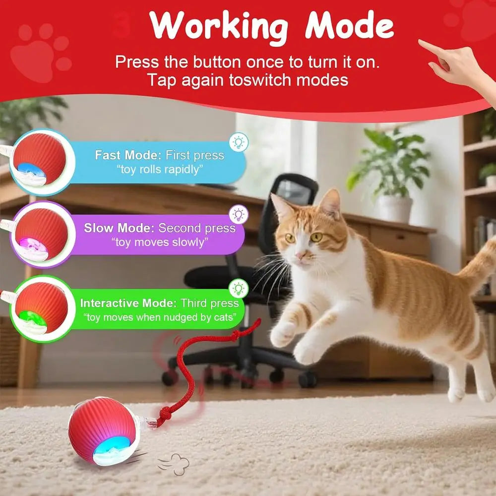 Interactive Cat Toys Smart Ball for Cats and Dogs 360 Degree Rolling Chase