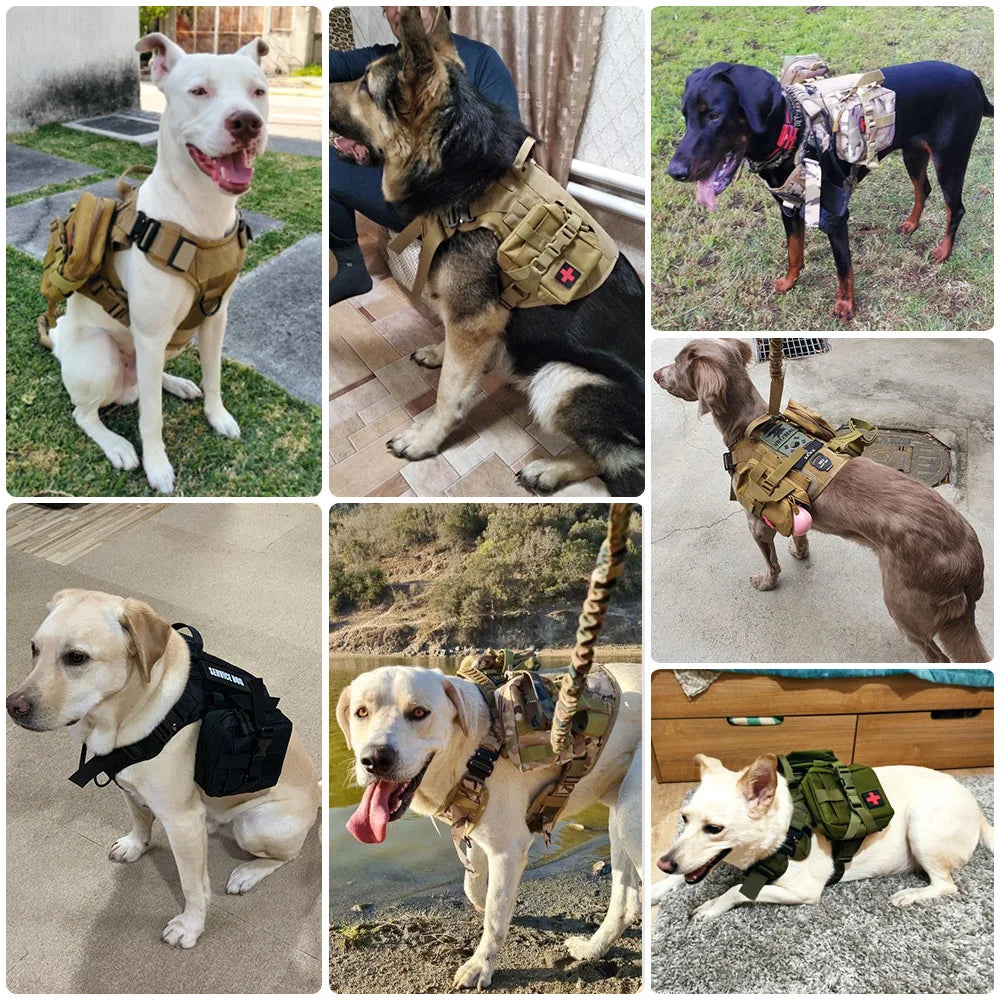PETRAVEL Dog Tactical Bags Set Molle Pouches for Harness