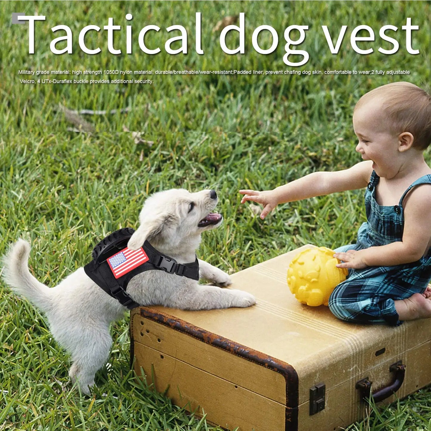 PETRAVEL Tactical Puppy Harness Leash Set For Small Dogs