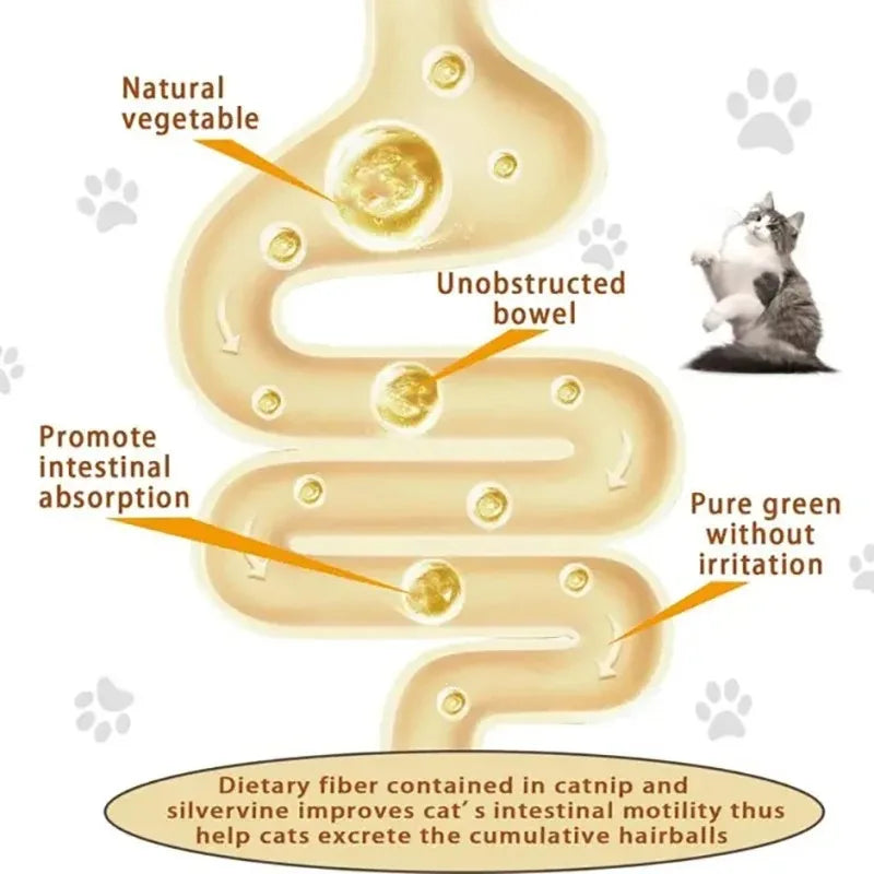 Rotating Catnip Silver Vine Toy for Dental Health Wall Mounted