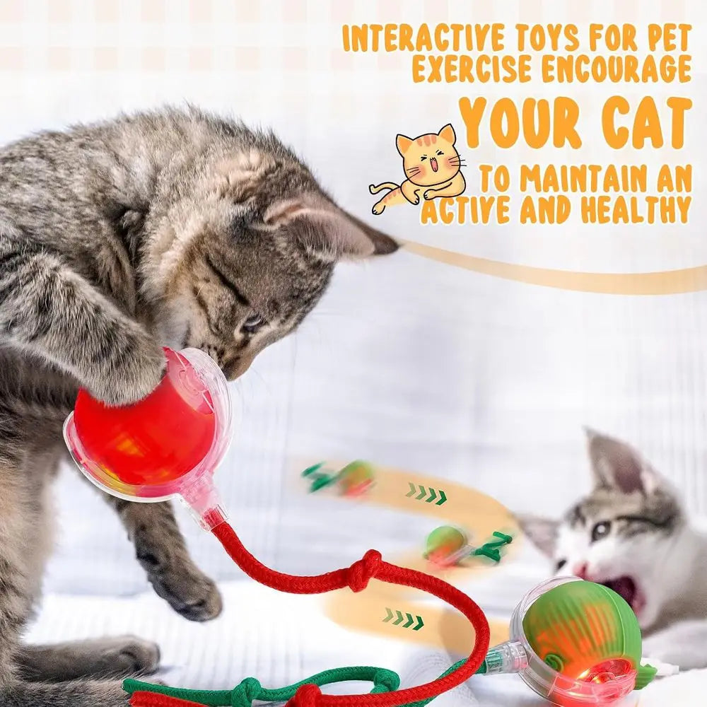 Six Pack Interactive Cat Ball Toy 360 Degree Rolling Ball