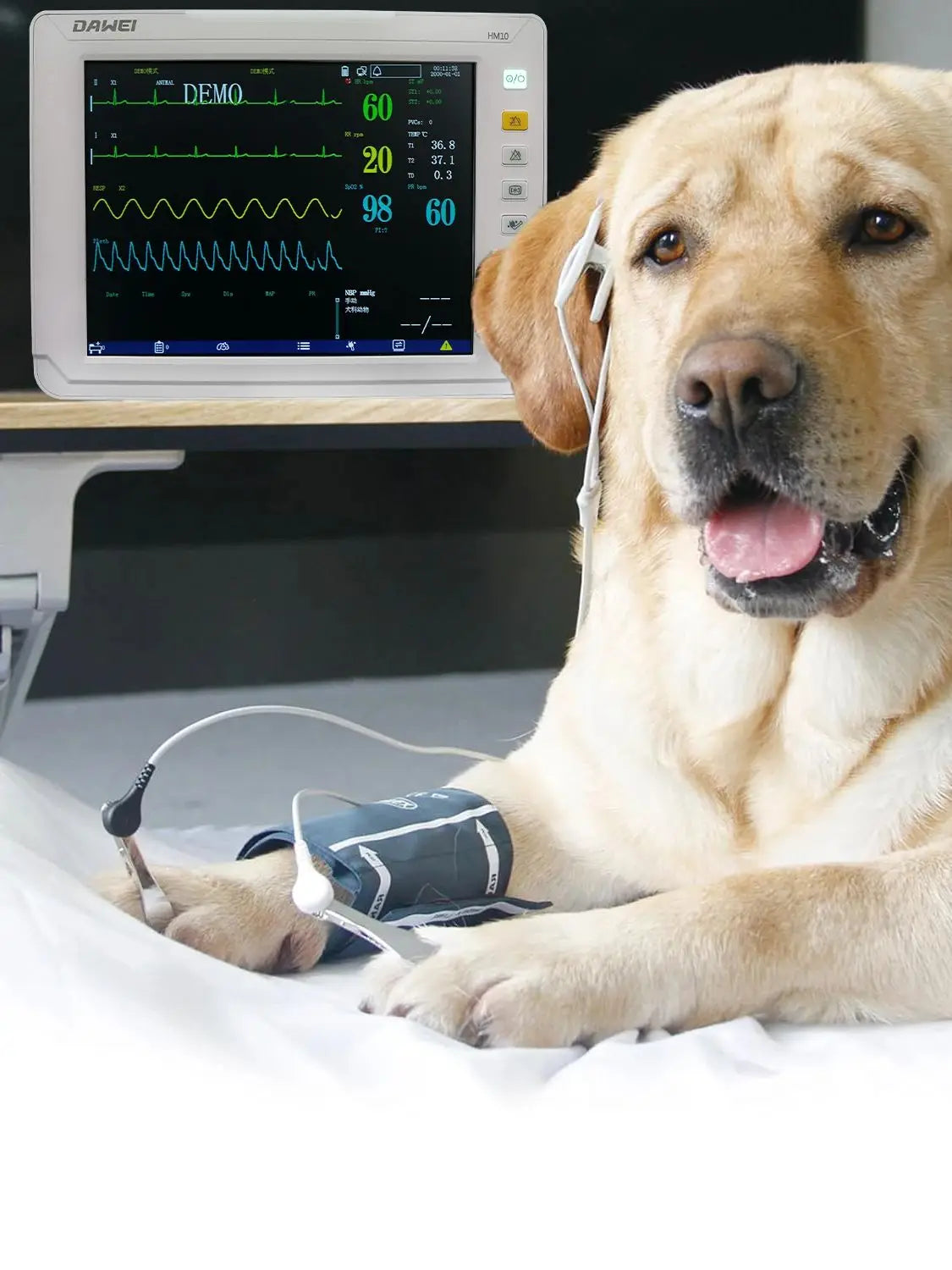 DAWEI Portable Veterinary Monitor 6 Parameter LCD Display