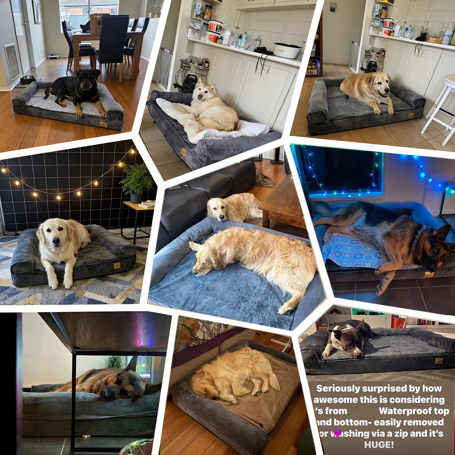 BORWARTCN Calming Orthopedic Memory Foam Dog Bed With Waterproof Cover