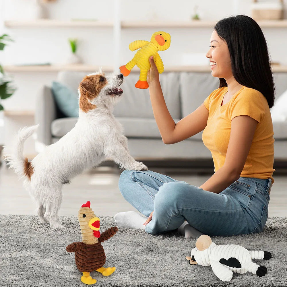 Premium Plush Squeaky Dog Toys Assortment Pack For Pets